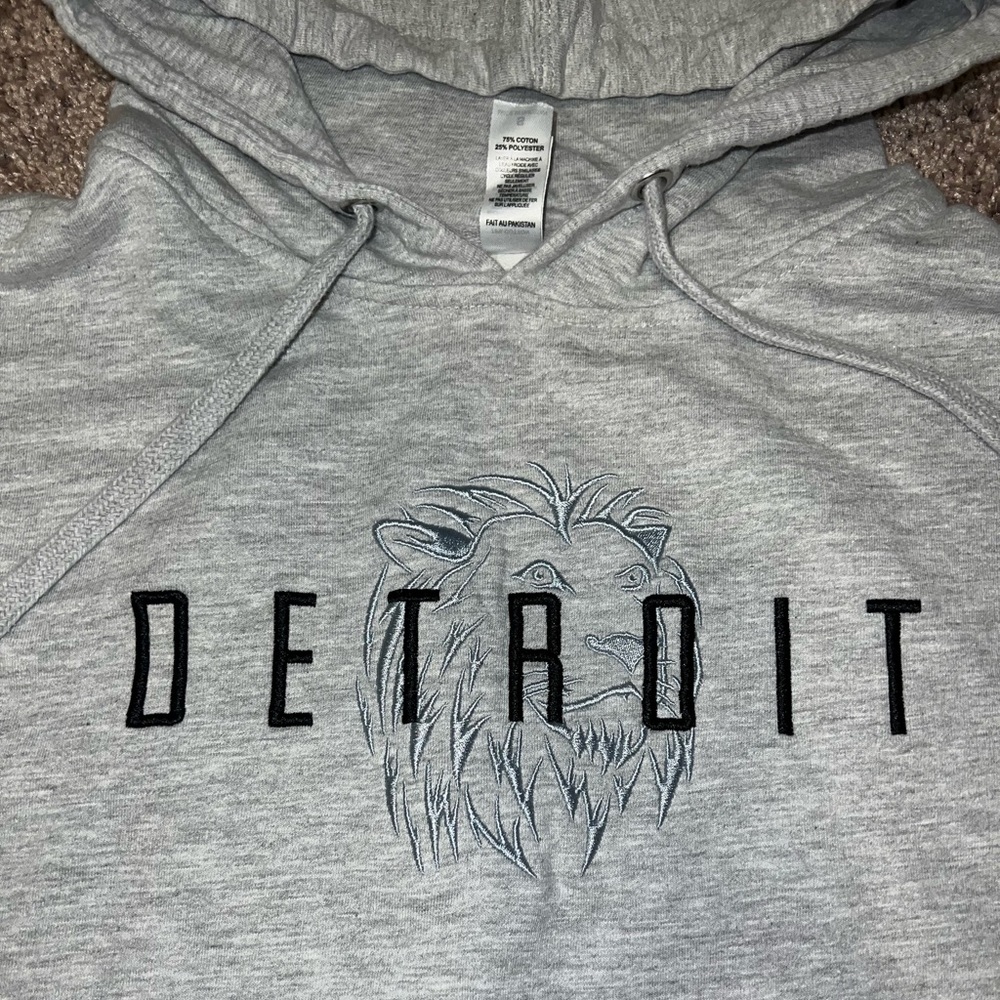 Men’s Detroit Lions Embroidered Hoodie